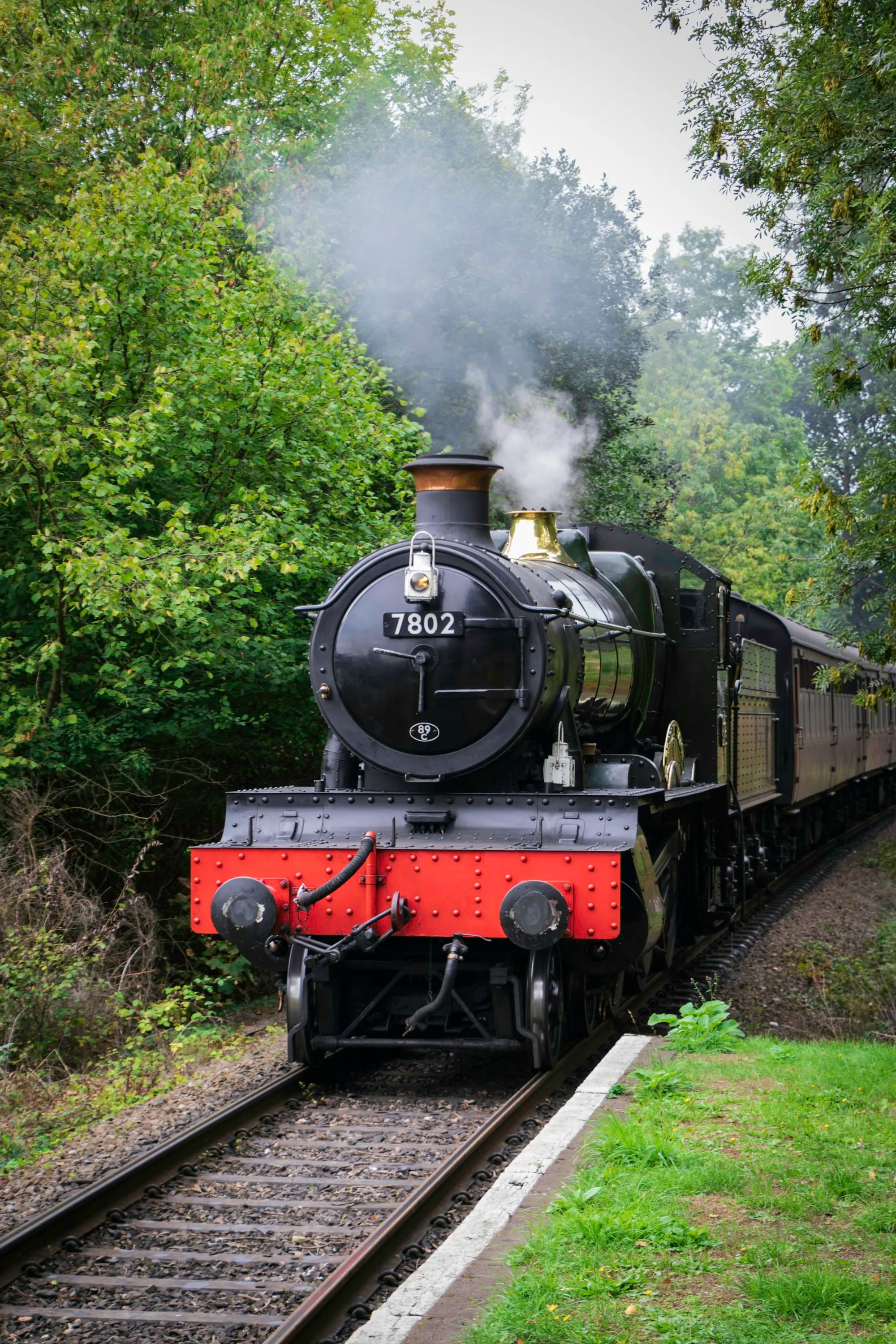 A black and red train among trees